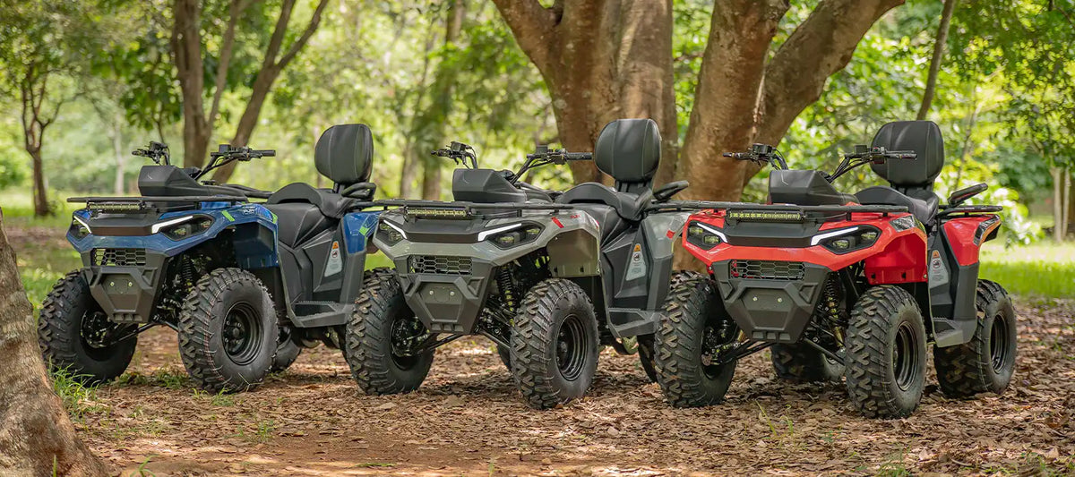 Quadriciclo Off-Road Fun Motors Dakar 250cc 4T Automático CVT com Ré-4