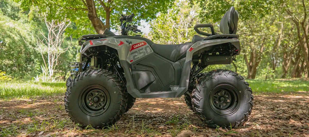 Quadriciclo Off-Road Fun Motors Dakar 250cc 4T Automático CVT com Ré-3
