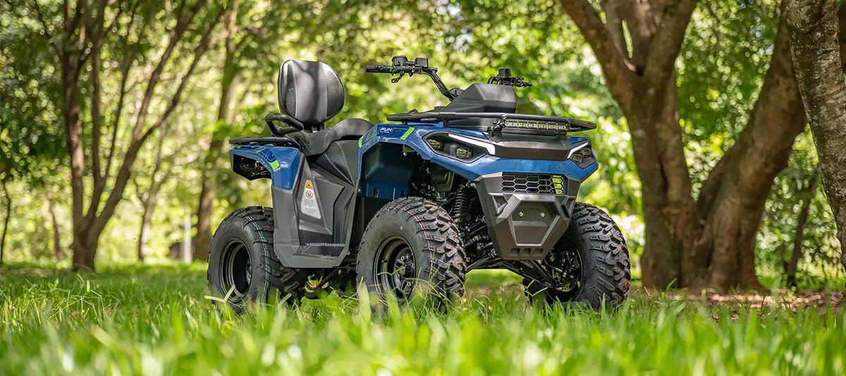Quadriciclo Off-Road Fun Motors Dakar 250cc 4T Automático CVT com Ré-2