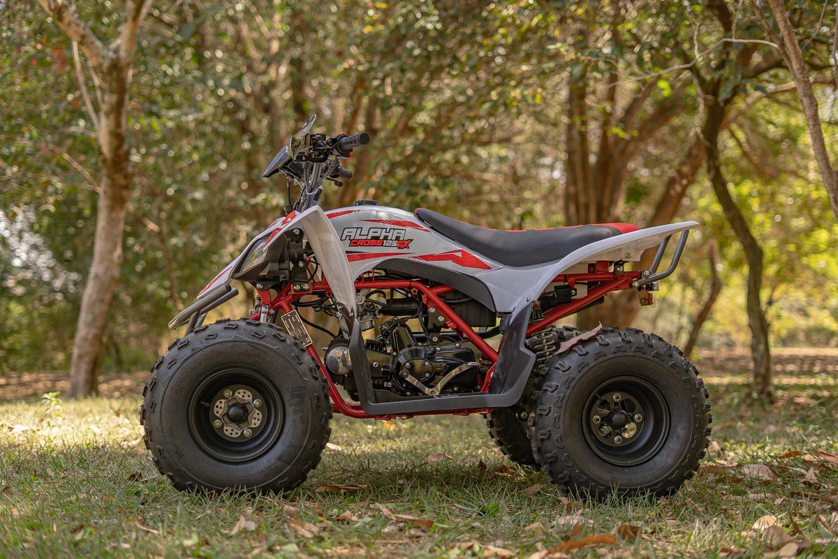 Quadriciclo Juvenil Fun Motors Alpha Cross 125 X Semiautomático com Ré