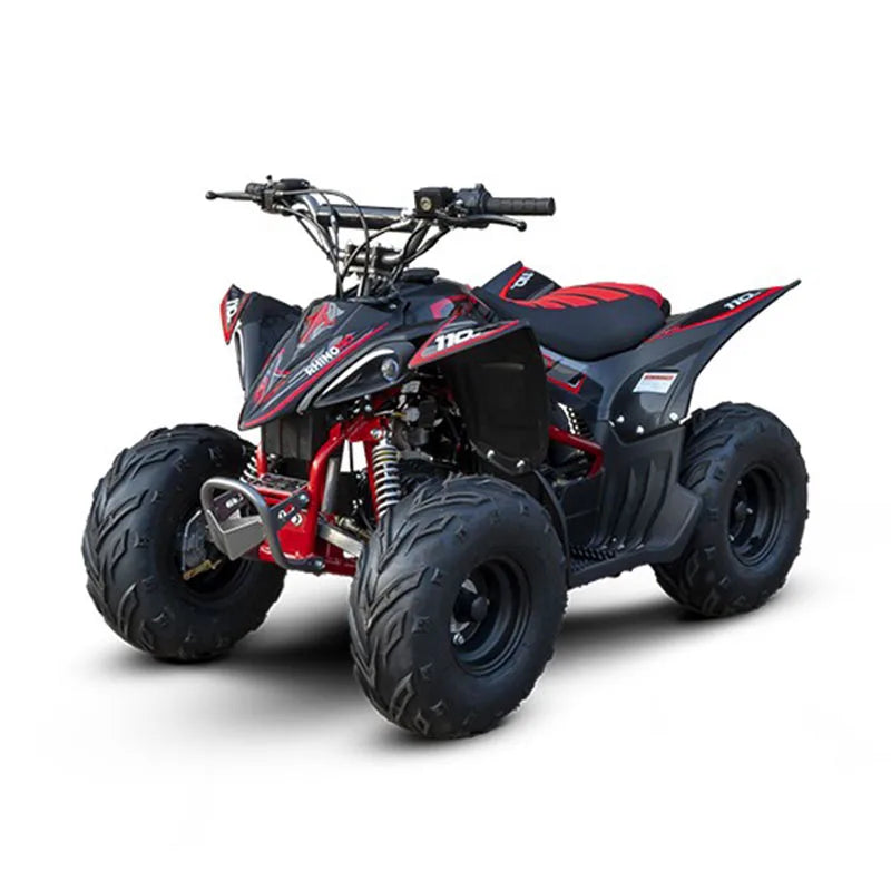 Mini Quadriciclo Infantil Fun Motors Rhino 110cc 4T Automático com Ré-2
